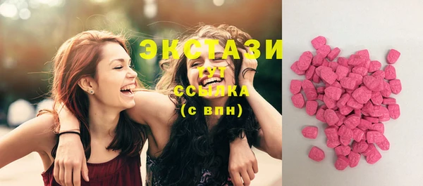 PSILOCYBIN Тайга