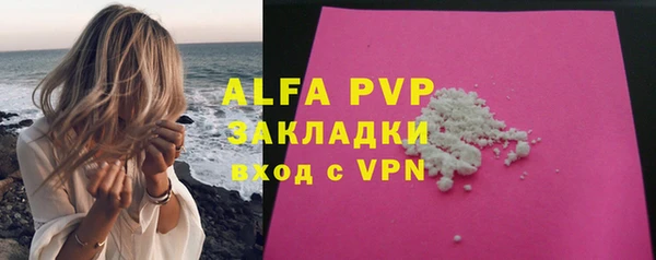 прущие грибы Тавда