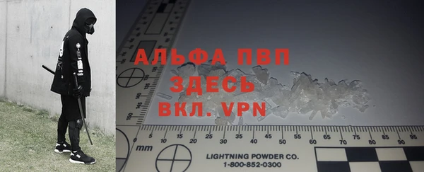 ПСИЛОЦИБИНОВЫЕ ГРИБЫ Сясьстрой